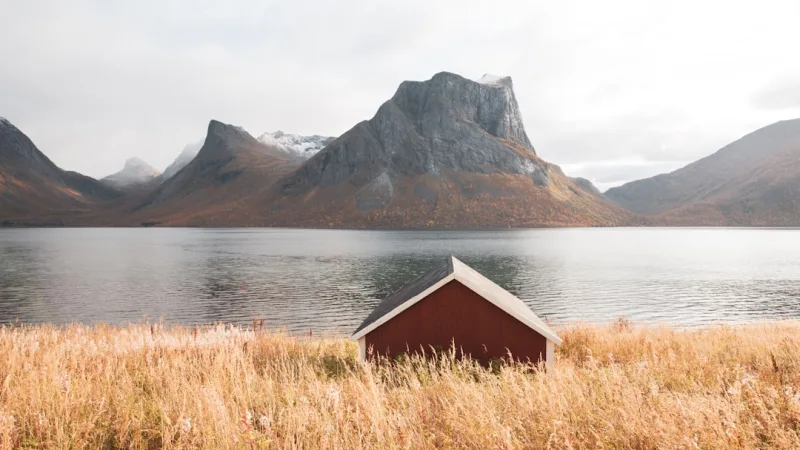 Nordic DIY Hacks for Tiny Apartments Under $100