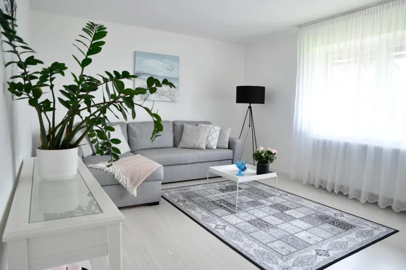 Nordic Minimalism: First Steps to a Scandi Apartment