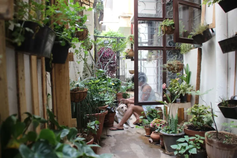 Small Backyard Diy Ideas Cheap